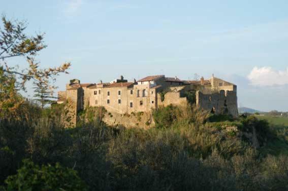 La Giuliva Di Pianiano Cellere Exterior photo