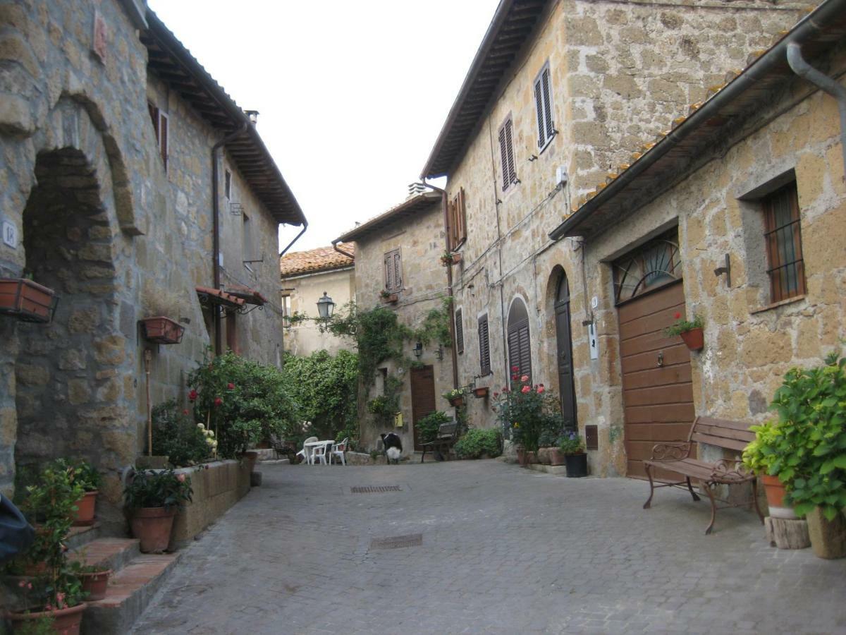 La Giuliva Di Pianiano Cellere Exterior photo
