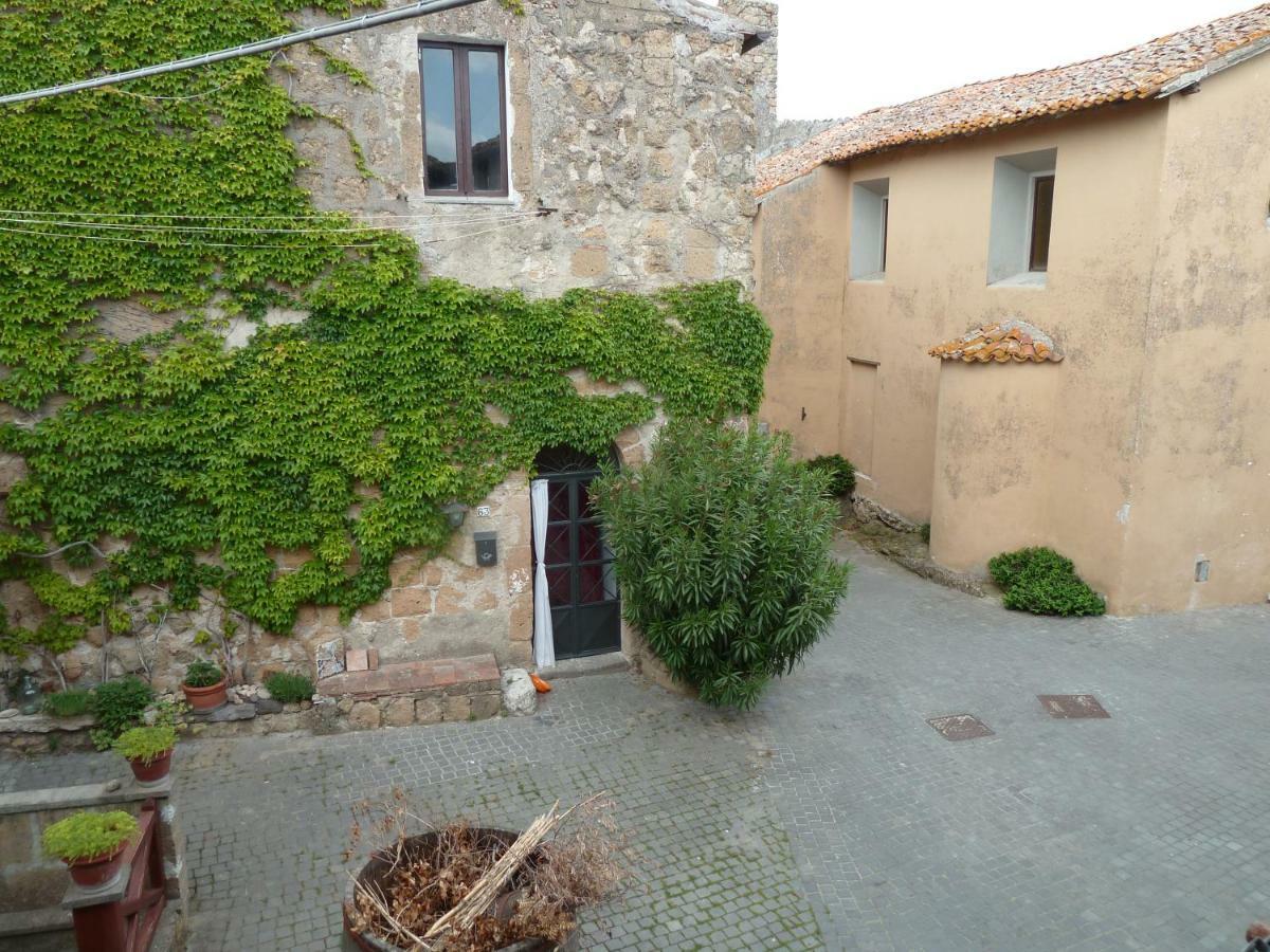 La Giuliva Di Pianiano Cellere Exterior photo
